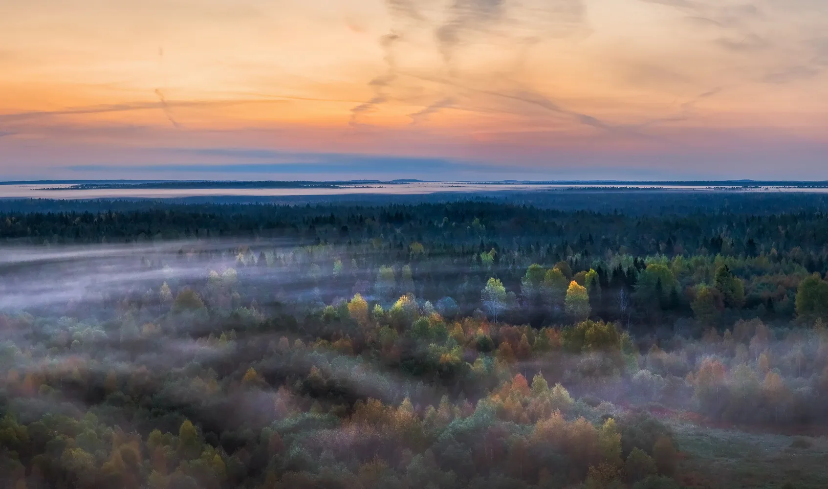Вепсский лес